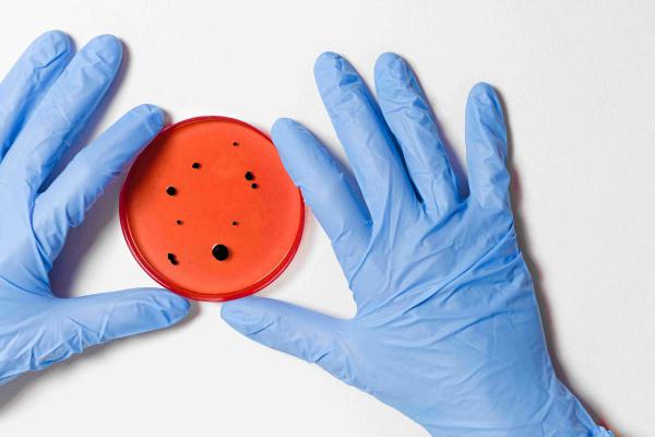 Coliform Bacteria in Water - Effects, Presence, Testing and Precautionary Measures