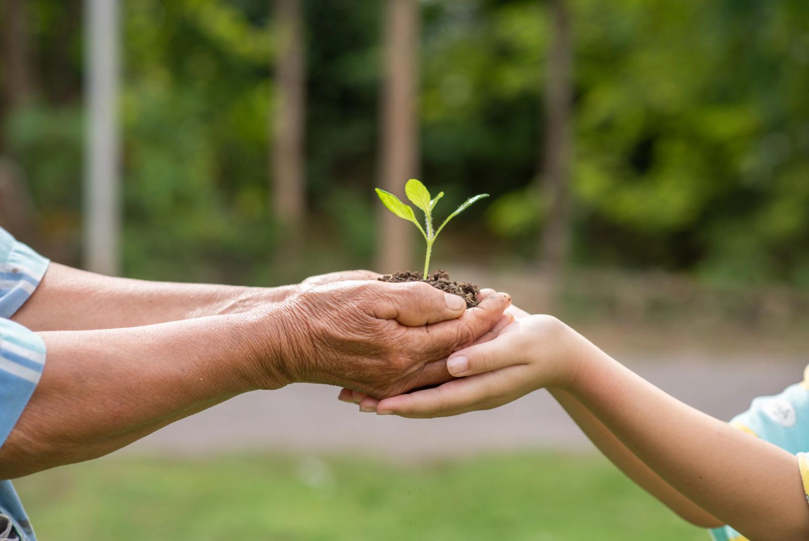 Environment Awareness & Training Programs