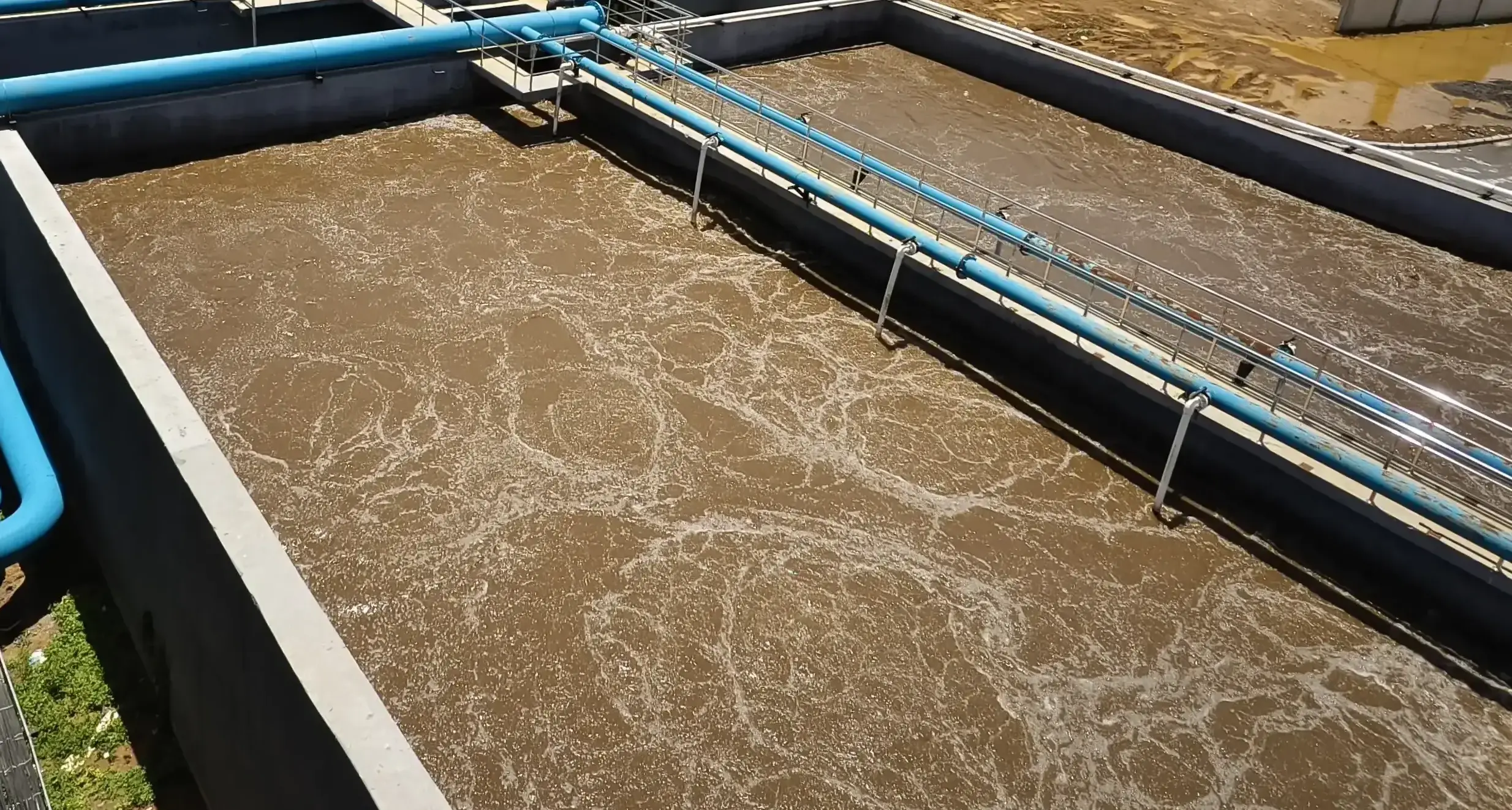 Activated Sludge Process (ASP)